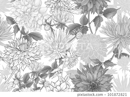 Dahlias flowers, outline Vector illustration. Dahlias flowers, outline Vector illustration. 101872821