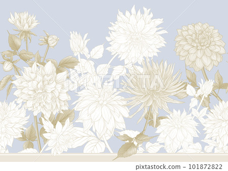 Dahlias flowers, outline Vector illustration.  101872822