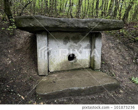Dolmen. Rectangular structure made of stone slabs or carved into the rocks with a hole in the facade. Black Sea coast, Krasnodar area near Gelendzhik, Russia. 101873236