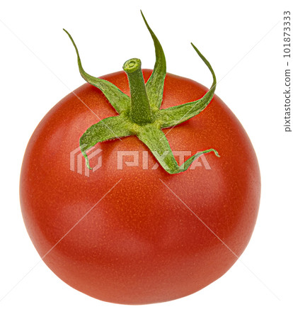 One whole cherry tomato isolated on white background One whole cherry tomato isolated on white background 101873333