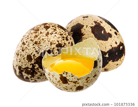Quail eggs isolated on white background Quail eggs isolated on white background 101873336