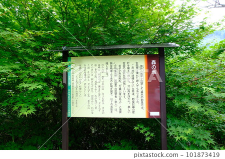 Usa City (Ajimu Town) Todoroki Pond 101873419