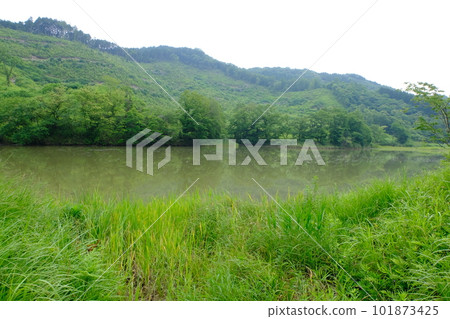 Usa City (Ajimu Town) Todoroki Pond 101873425