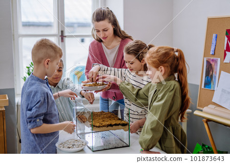 Young teacher making little greenhouse with their pupils, learning them about planting. Young teacher making little greenhouse with their pupils, learning them about planting. 101873643