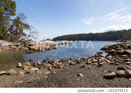 Rocky Shore on West Coast of Pacific Ocean in Nanoose Bay. Nature Background 101874515