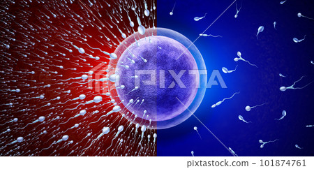 Male Infertility 101874761