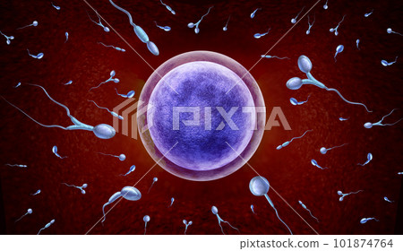 Sperm Disorder 101874764