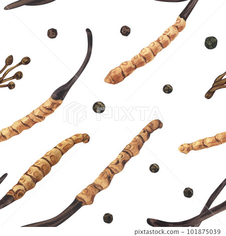 Watercolor seamless pattern dry Cordyceps militaris medicinal mushroom. Hand-drawn illustration isolated on white background. Perfect concept design for healthy chinese medicine popular superfood 101875039