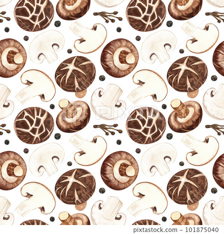 Watercolor seamless pattern shiitake medicinal mushroom, adaptogenic plant. Hand-drawn illustration isolated on white background. Perfect concept design for healthy chinese medicine popular superfood Watercolor seamless pattern shiitake medicinal mushroom, adaptogenic plant. Hand-drawn illustration isolated on white background. Perfect concept design for healthy chinese medicine popular superfood 101875040