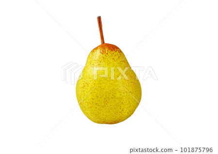 Pear Rocha whole fruit isolated on white 101875796