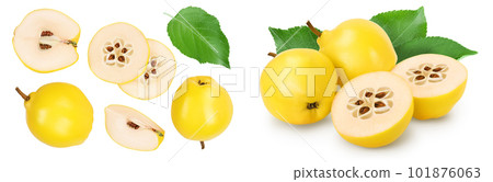 Fresh quince with half and slices isolated on the white background with full depth of field. Top view. Flat lay Fresh quince with half and slices isolated on the white background with full depth of field. Top view. Flat lay 101876063