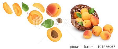 apricot fruit with half and slices isolated on white background. . Top view with copy space for your text. Flat lay 101876067