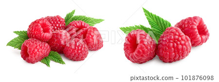 Ripe raspberries with leaf isolated on a white background 101876098