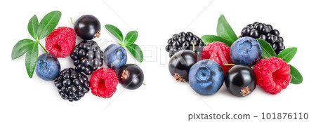 mix of blackberry blueberry raspberry isolated on white background. Top view. Flat lay pattern 101876110