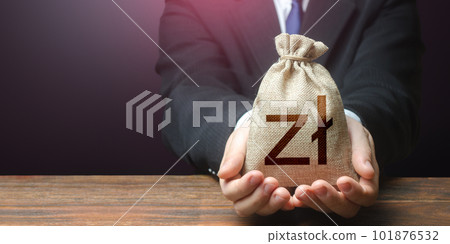 Businessman offers a polish zloty money bag. Place for text. Copyspace. Profitable proposition. deposits and loans. Grants and funding. Get a cashback. Wage payment. Earn a promotion. Bonuses. 101876532