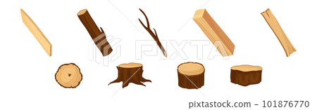 Wooden Material with Log, Plank, Stump and Cross Section Vector Set 101876770