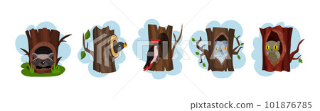 Funny Animals Sitting in Tree Hollow Vector Set 101876785