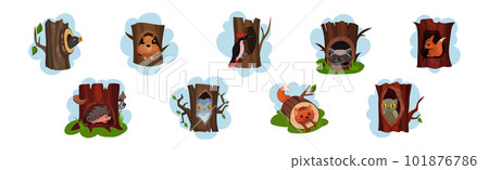 Funny Animals Sitting in Tree Hollow Vector Set 101876786