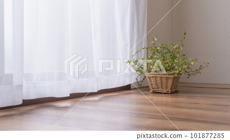 Wooden flooring and window curtains Wooden flooring and window curtains 101877285