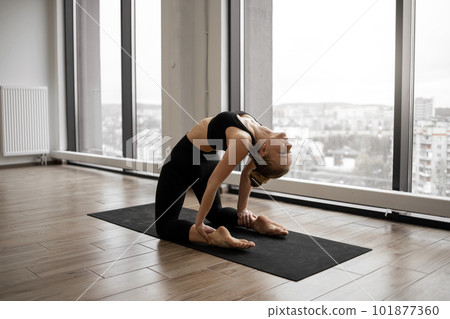 Athletic woman standing in Camel Pose at fitness center Athletic woman standing in Camel Pose at fitness center 101877360