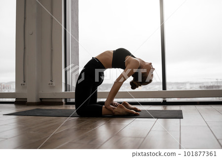 Athletic woman standing in Camel Pose at fitness center Athletic woman standing in Camel Pose at fitness center 101877361