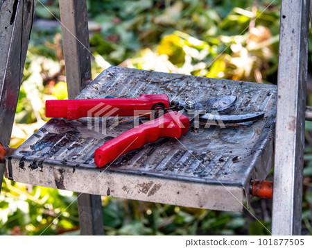 Garden shears for cutting branches of trees and bushes. 101877505
