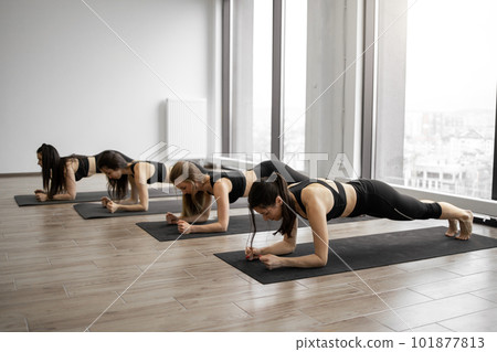 Females holding Forearm Plank Pose during yoga workout 101877813