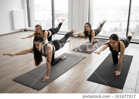 Adult yogis using Balancing Table Pose during yoga workout Adult yogis using Balancing Table Pose during yoga workout 101877817