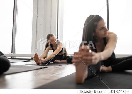 Women holding Head to Knees Posture at yoga practice Women holding Head to Knees Posture at yoga practice 101877824