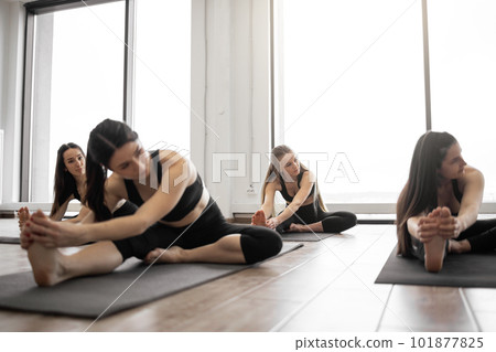 Females taking up Head to Knees Pose on mats indoors Females taking up Head to Knees Pose on mats indoors 101877825