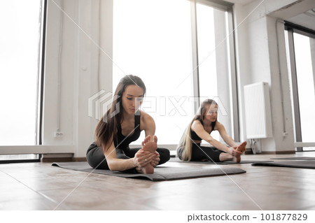 Yoga people exercising Janu Sirsasana on mats during workout Yoga people exercising Janu Sirsasana on mats during workout 101877829