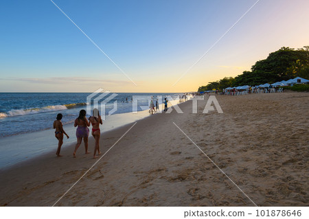 Landscape view of Taperapua beach of Porto Seguro - Bahia, Brazil 101878646