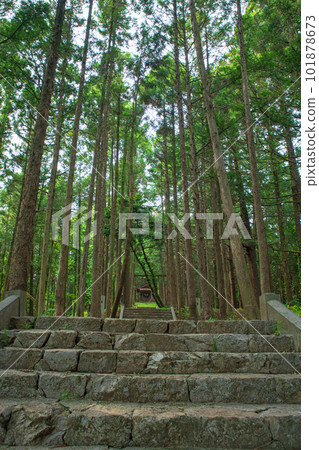 栃木縣佐野市片山公園 Katayama Inari Shrine Approach 101878673