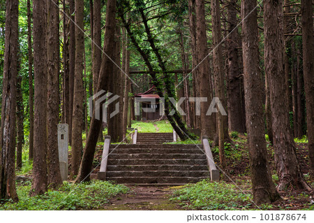 栃木縣佐野市片山公園 Katayama Inari Shrine Approach 101878674