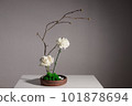 Flower arrangement of white carnation, rose and tree branches in ceramic vase with stones and moss. Japanese Ikebana style. gray background 101878694