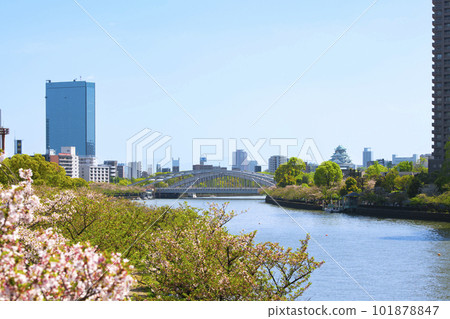 大阪市的街道和初夏的大川河 大阪市的街道和初夏的大川河 101878847