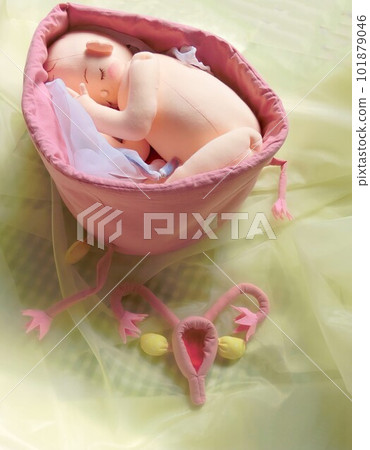 Comparing normal uterus size with full-term uterus size Comparing normal uterus size with full-term uterus size 101879046