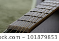 acoustic guitar neck and strings 101879853