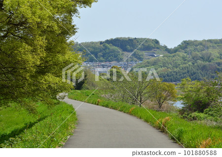 東京都日野市淺川春天路 101880588