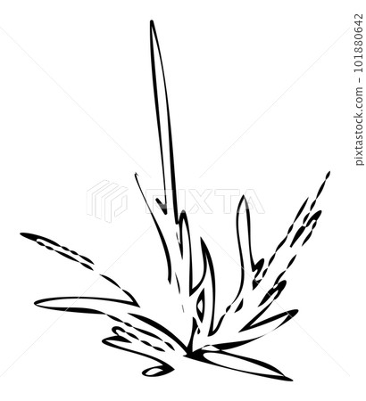Grass line drawing illustration Grass line drawing illustration 101880642