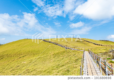 春天攀登劍山（山頂） 101880698