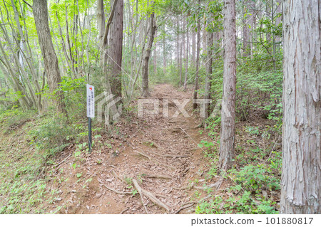 七國山登山口(埼玉縣飯能市) 七國山登山口(埼玉縣飯能市) 101880817