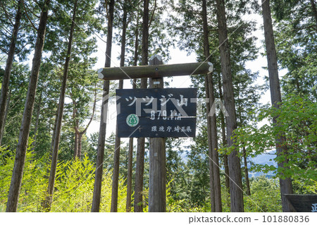 辻山山頂（奧武藏） 101880836