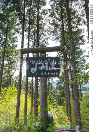 The summit of Mt. Tsutsuji (Oku Musashi) 101880838