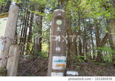 小野Pass(奧武武藏) 小野Pass(奧武武藏) 101880856