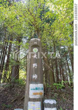 小野Pass(奧武武藏) 小野Pass(奧武武藏) 101880857