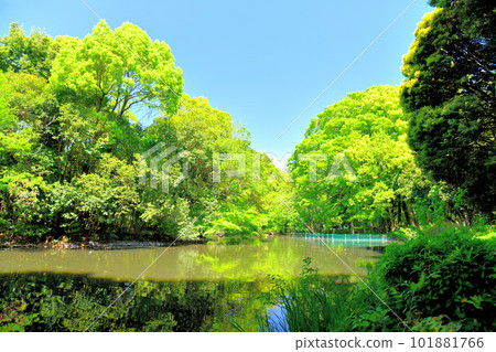 和田堀公園/和田堀池塘（東京都杉並區）[2023.4] 101881766