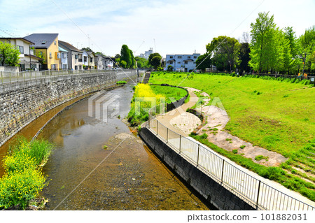 武藏野橋/善福寺川下游/俯瞰杉並區幾味公園一帶（東京都杉並區）[2023年4月] 101882031