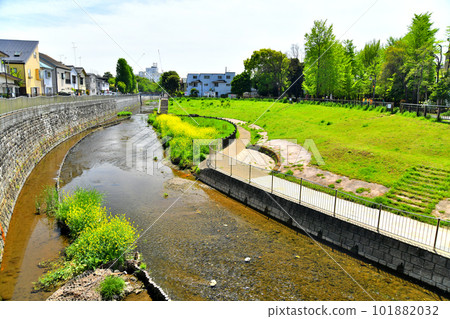 武藏野橋/善福寺川下游/俯瞰杉並區幾味公園一帶（東京都杉並區）[2023年4月] 101882032