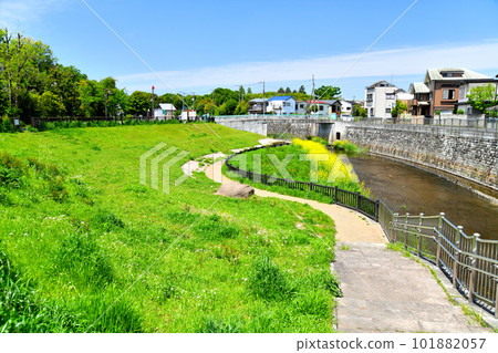 Looking towards Musashino Bridge/Zenpukuji River from near Suginami Ward Jimi Park (Suginami Ward, Tokyo) [April 2023] 101882057